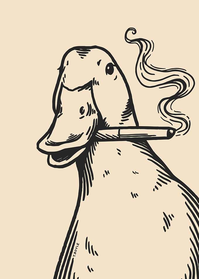Smoking Duck Line Art Illustration
