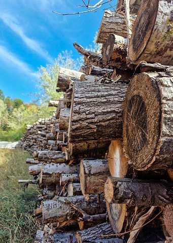 Latest drop