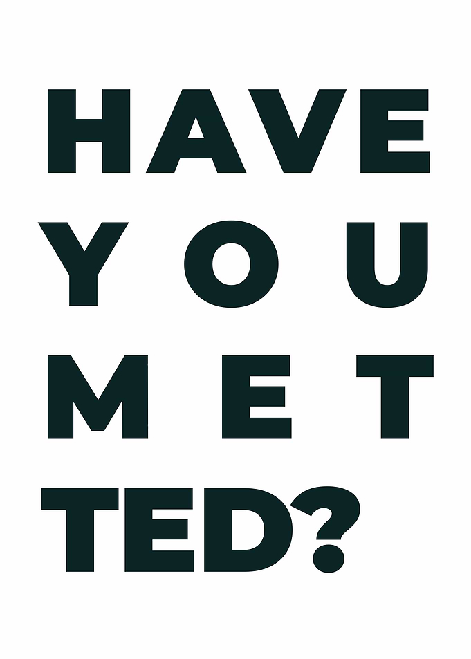 Have You Met Ted Typography Poster