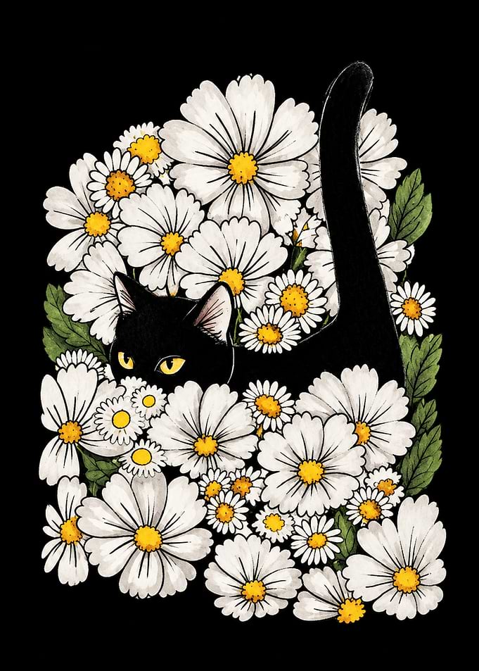 Black Cat Hiding in Daisies