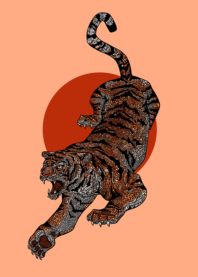 Mosaic Tiger Butch Colouration