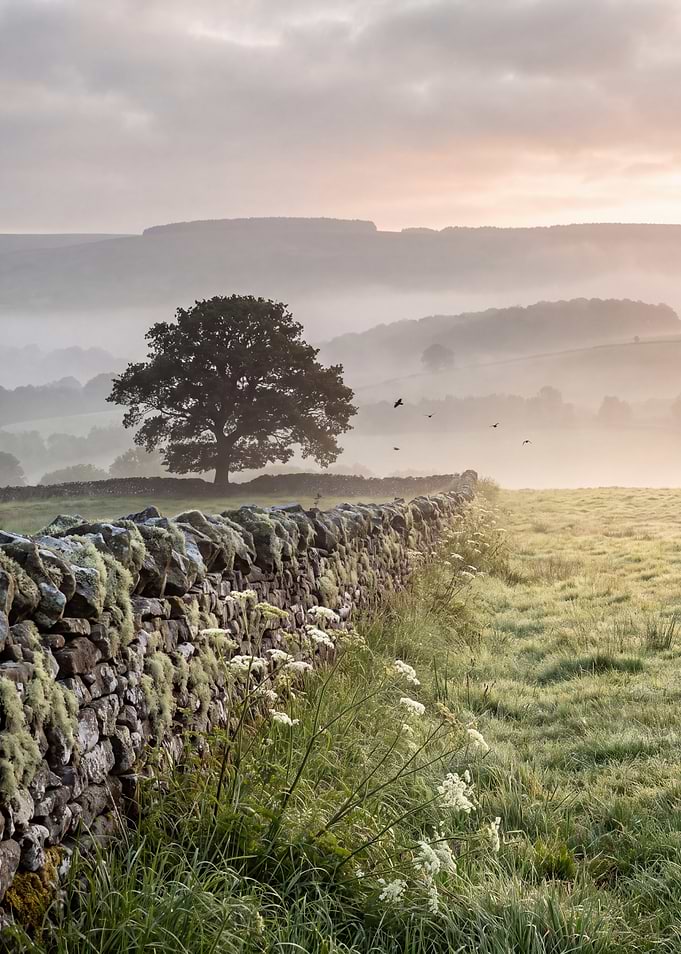 Misty Countryside at Dawn