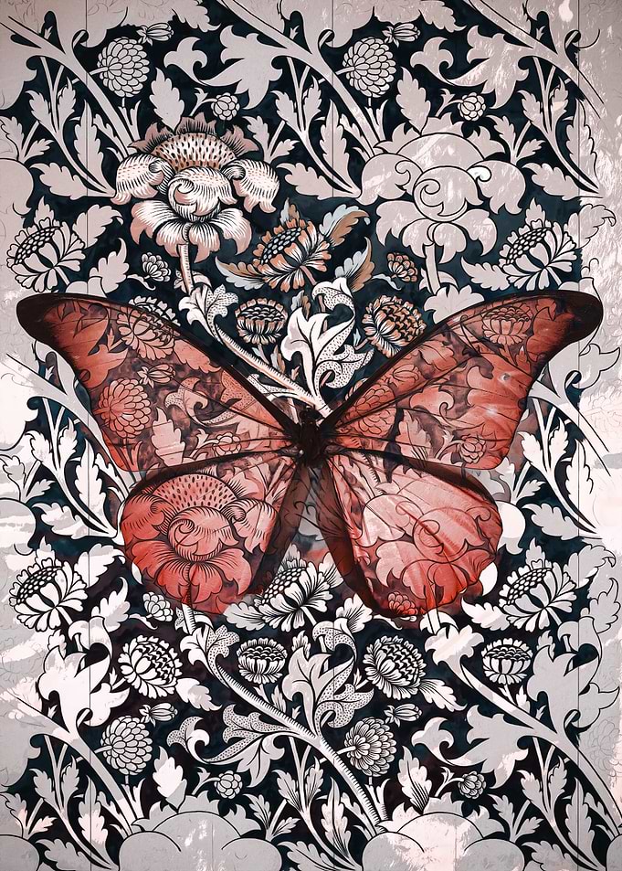 Vintage Floral Butterfly