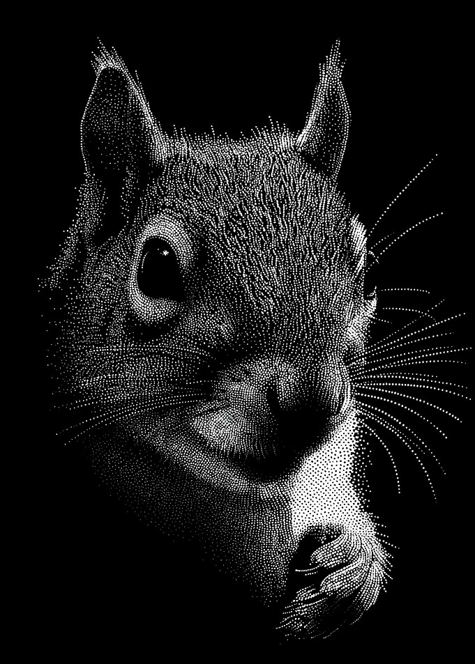 Charming Monochrome Squirrel Portrait In Stipple Dotwork