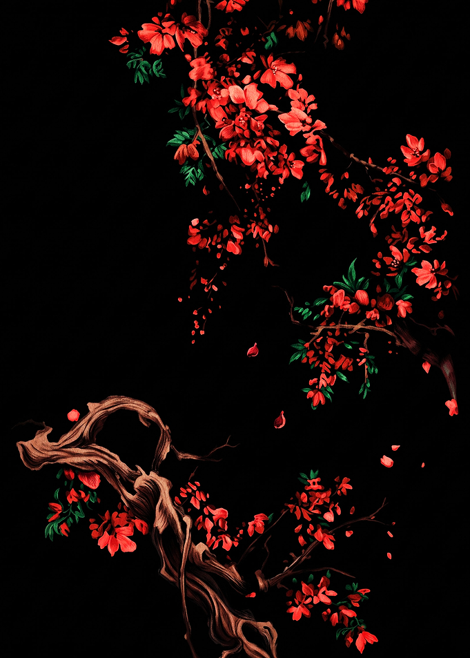 Red Cherry Blossoms on Black Background