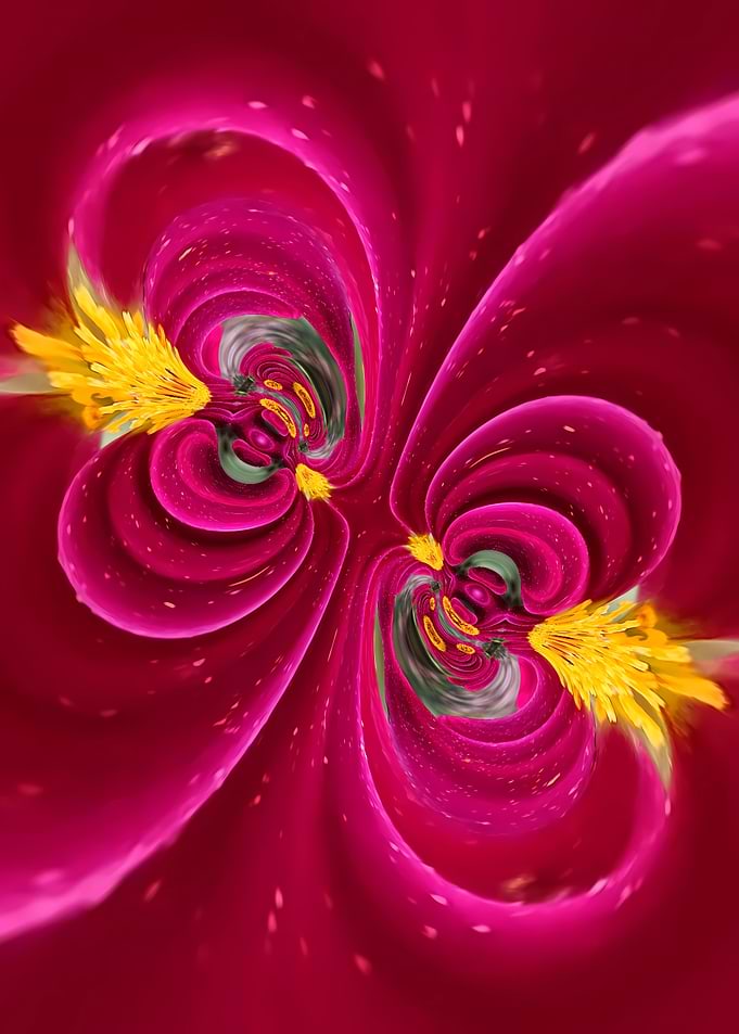 Abstract Magenta and Yellow Floral Kaleidoscope
