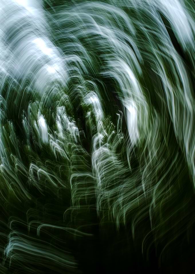 Forest motion blur in swirling light