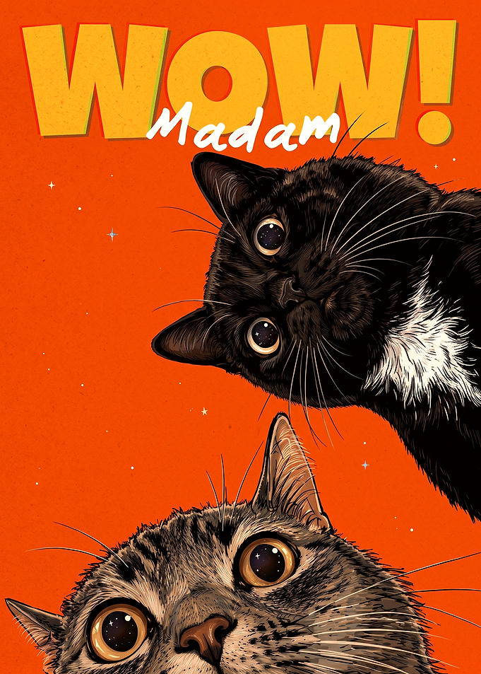 Wow Madam Cats Illustration