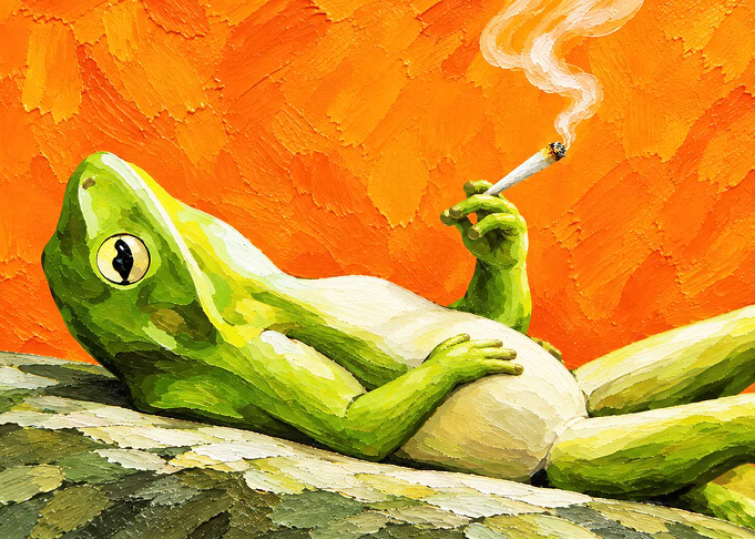Relaxed Frog Smoking a Cigarette