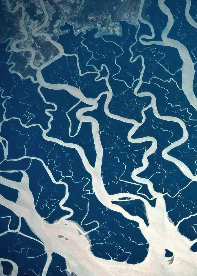 Aerial View of River Delta