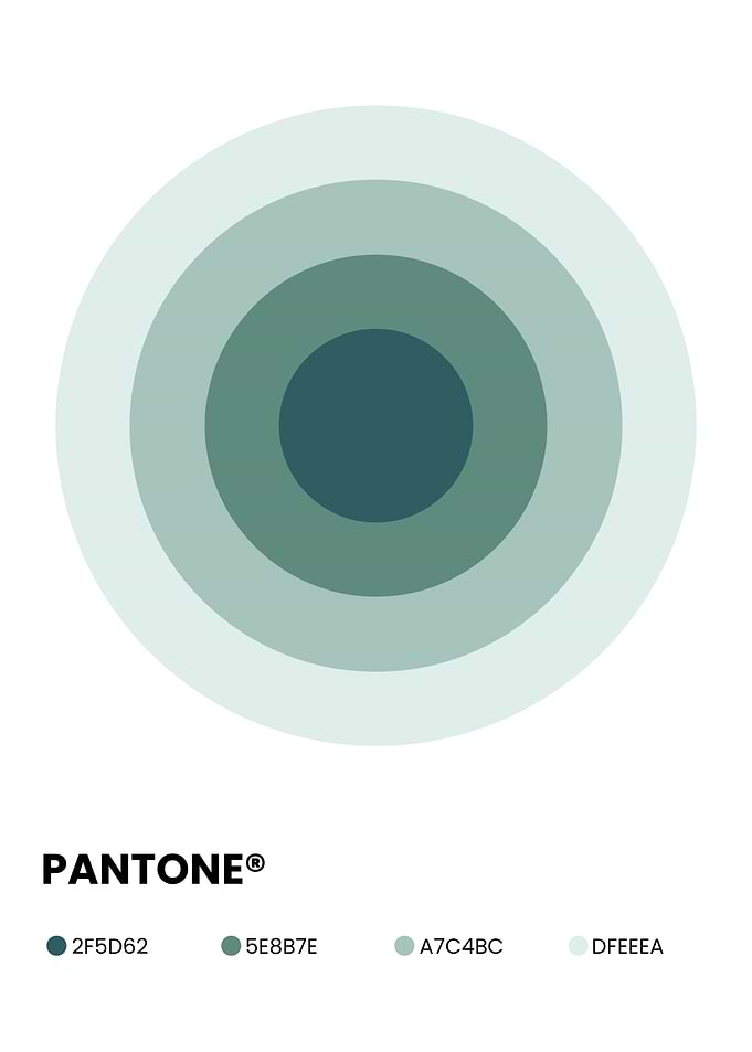 Pantone Color Palette Concentric Circles