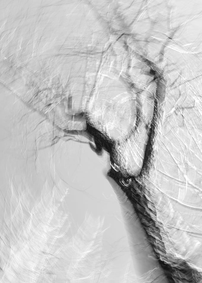 Abstract Motion Blur Tree — Minimalist Black and White Art