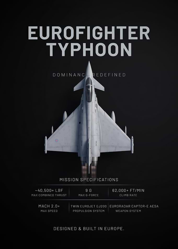 top view Eurofighter Typhoon Technical Infographic Poster