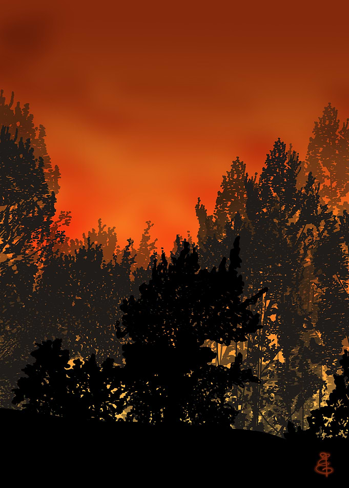 Fiery Sunset Forest Silhouette