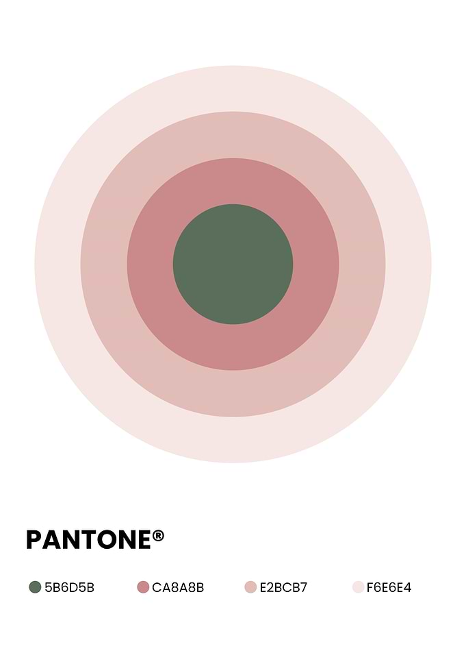Pantone Color Palette Concentric Circles