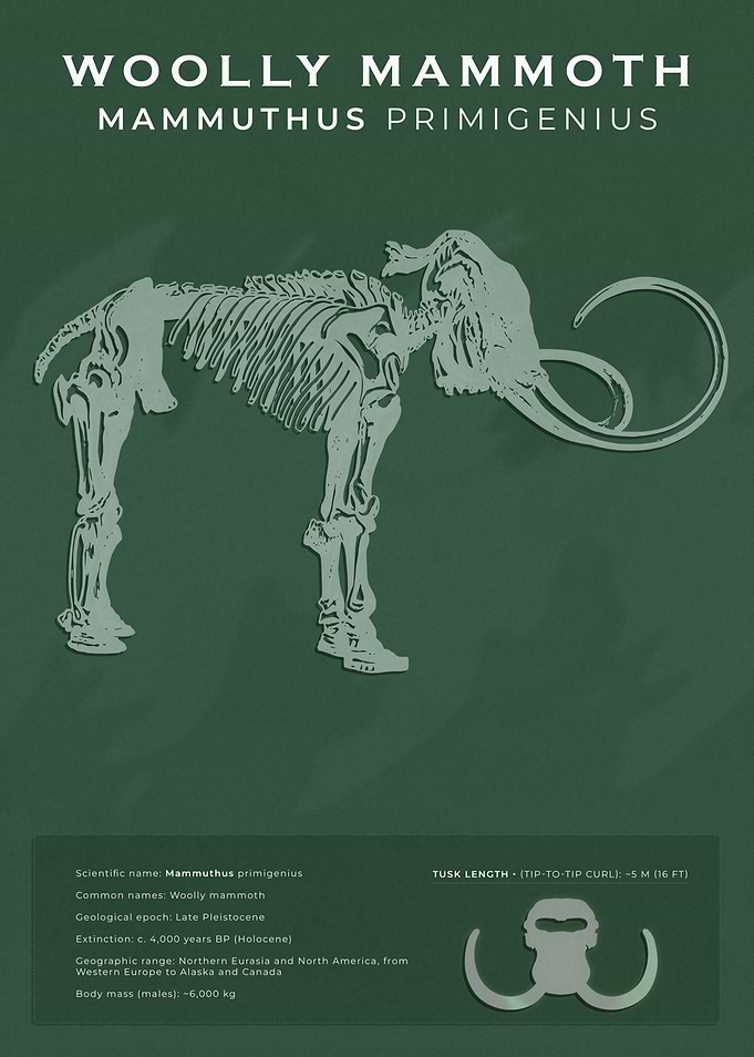 Woolly Mammoth Scientific Poster