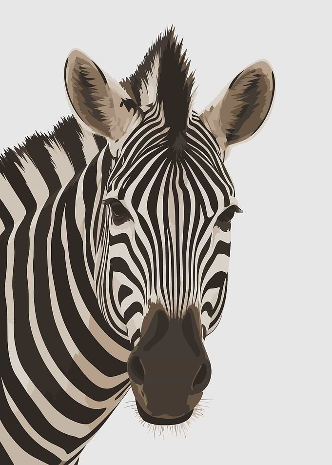 Stylized Zebra Portrait Illustration