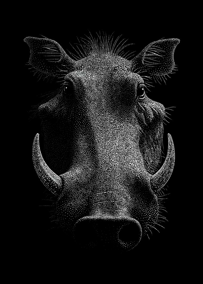 Striking Monochrome Warthog Portrait In Stipple Dotwork
