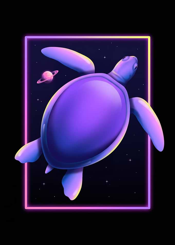 Cosmic Turtle