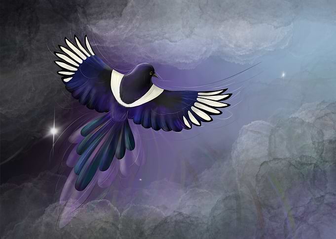 Magpie Flying Through Ethereal Clouds