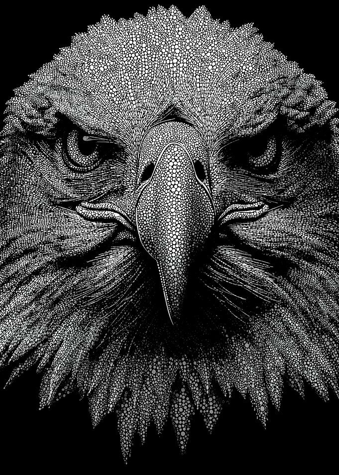Intense Monochrome Eagle Portrait In Stipple Dotwork