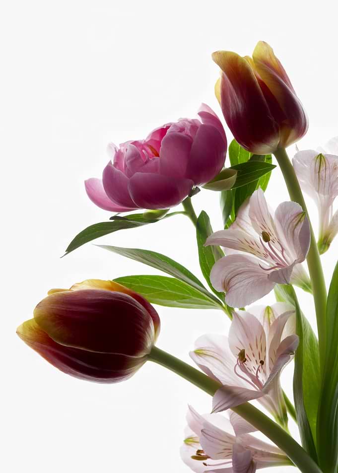 Elegant Spring Flower Bouquet