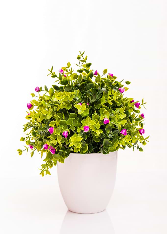 Artificial Potted Plant with Pink Flowers