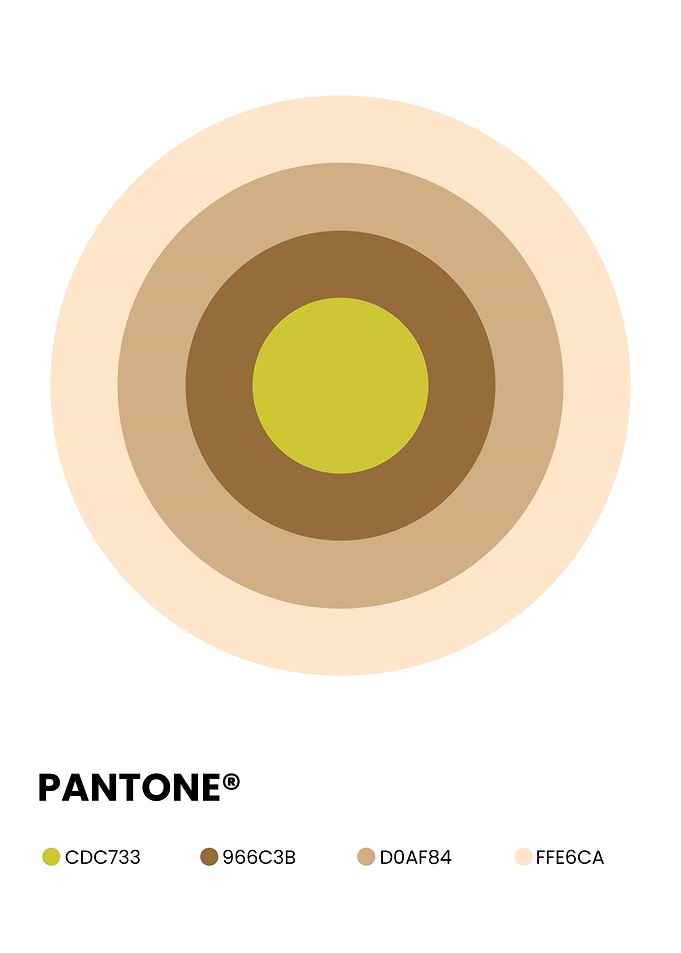 Pantone Color Palette Concentric Circles