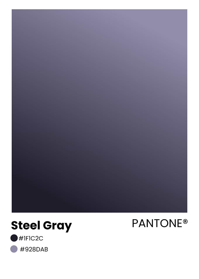Pantone Steel Gray Color Swatch