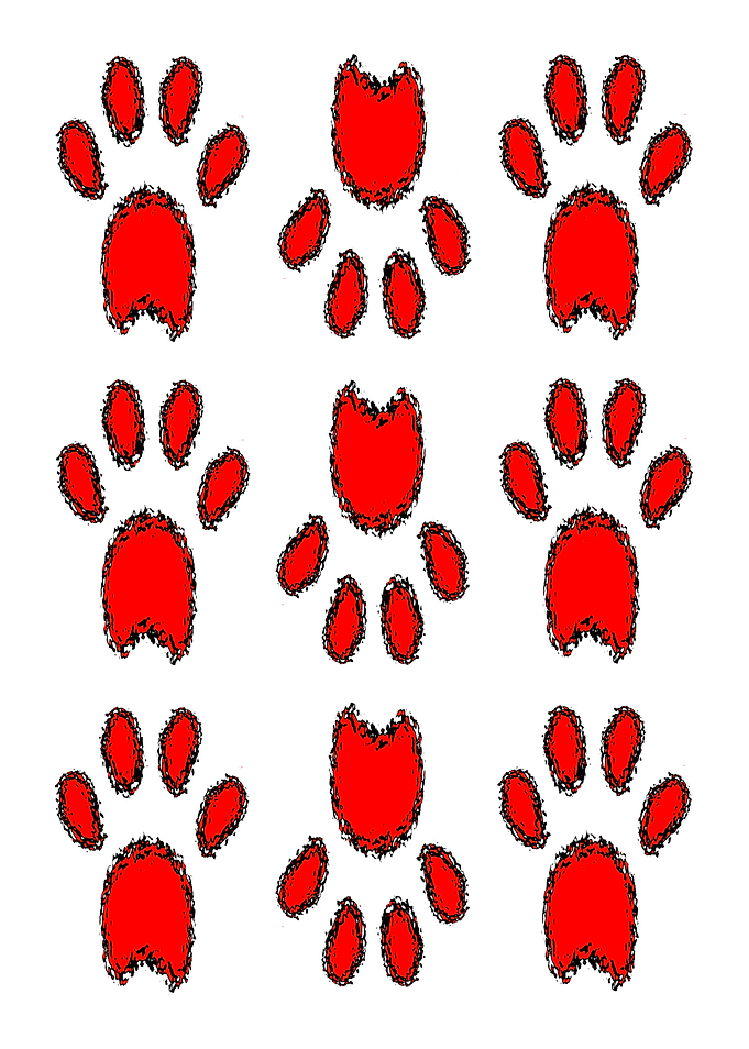 Dog Paw Print Pattern