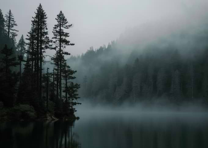 Misty Forest Lake Landscape