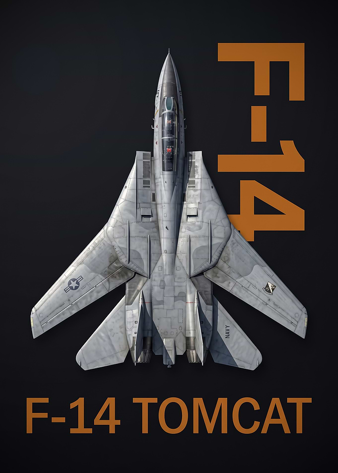 dark background top view f14 Tomcat Fighter Jet Poster