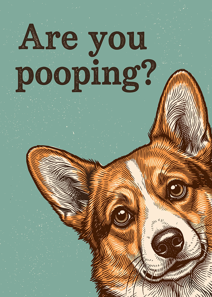 Funny Corgi Bathroom Wall Art