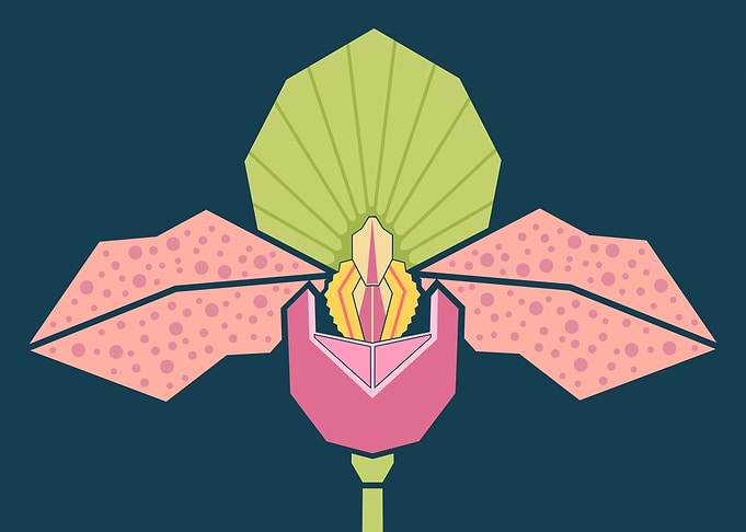 Geometric Stylized Orchid Illustration