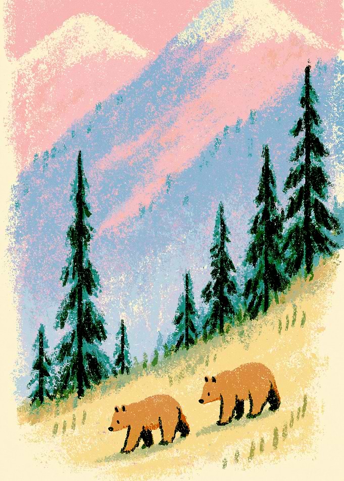 Two Bears Walking in Mountains