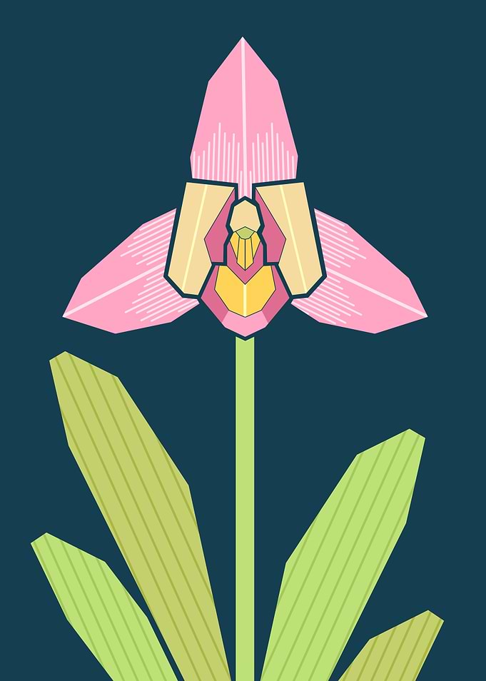 Geometric Pink Orchid Illustration