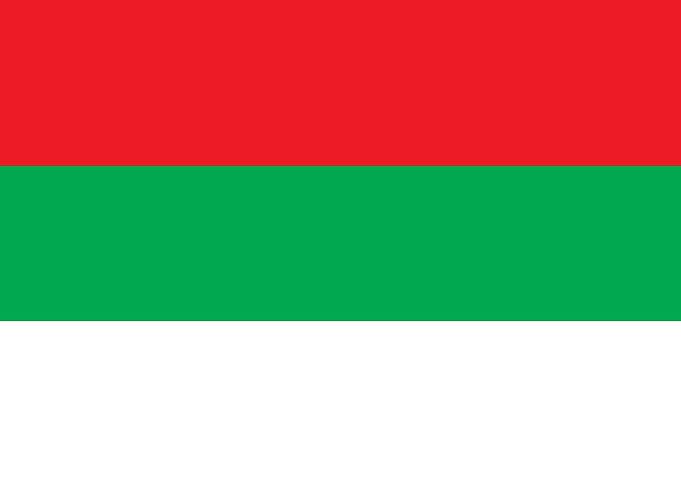 Augsburg Flag