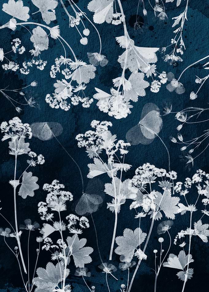 Blue Botanical Cyanotype Floral Print