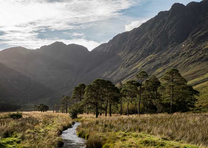 Scenic Mountain Valley with Stream