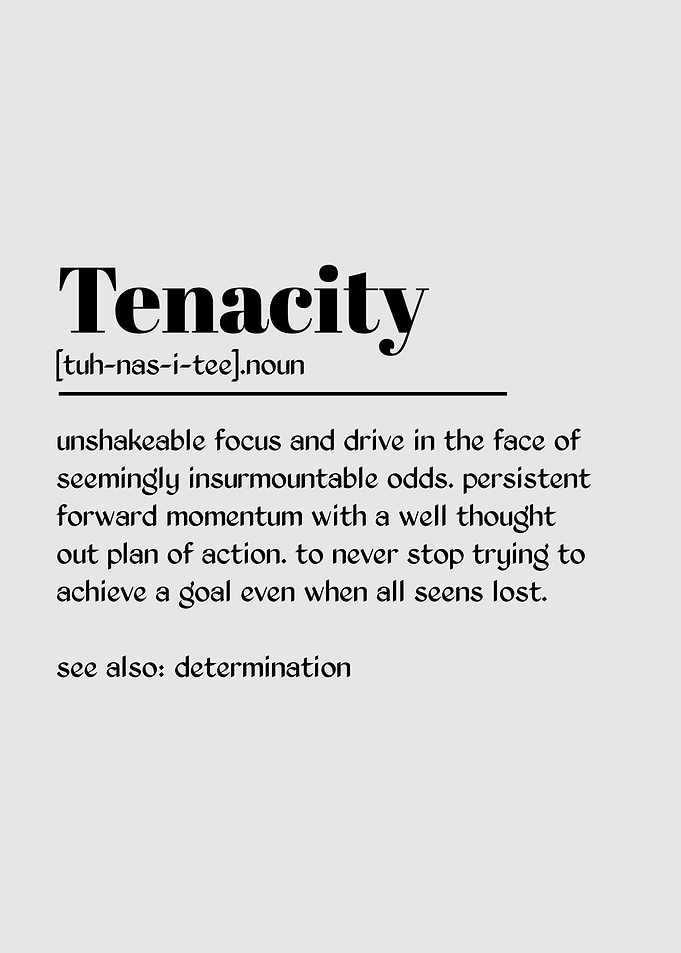 Tenacity Definition Inspirational Wall Art