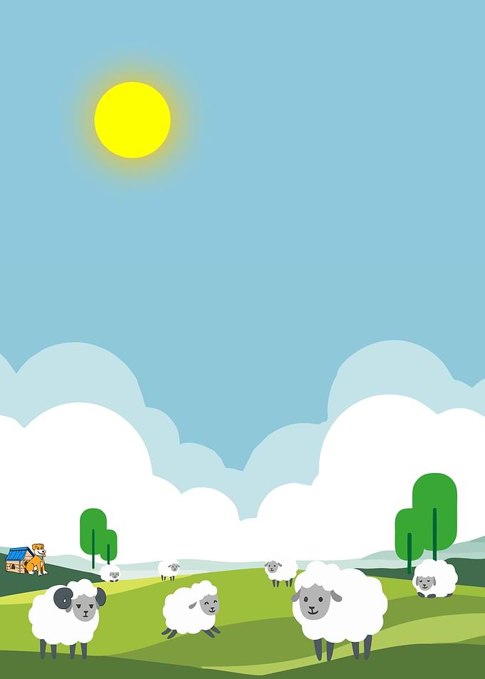 Cute Sheep Grazing in Sunny Meadow