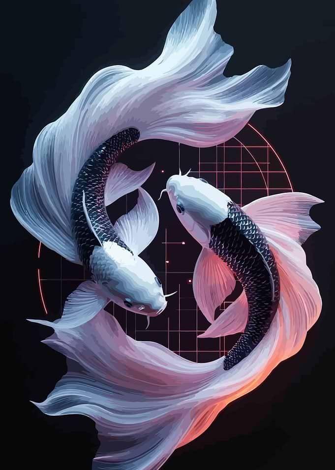 Dual Koi Fish Yin Yang Art