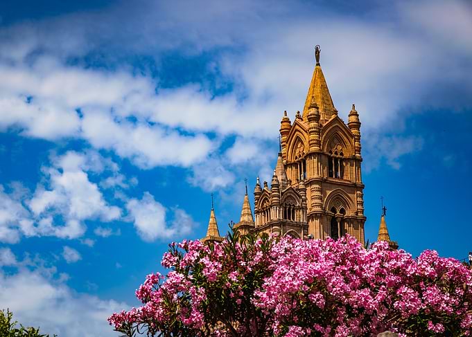 Palermo Cathedral with Pink Oleander