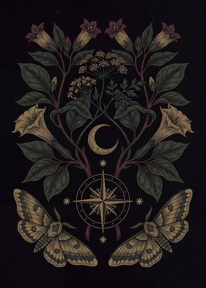 Mystical Moth and Floral Compass Illustration