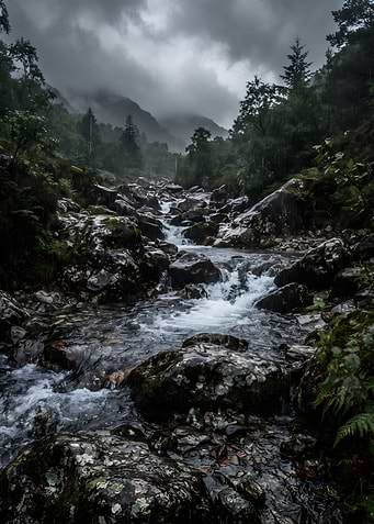 Moody Mountain Stream in Rain