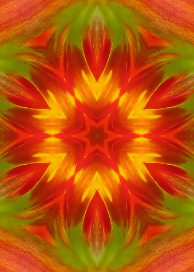 Vibrant Floral Kaleidoscope Pattern