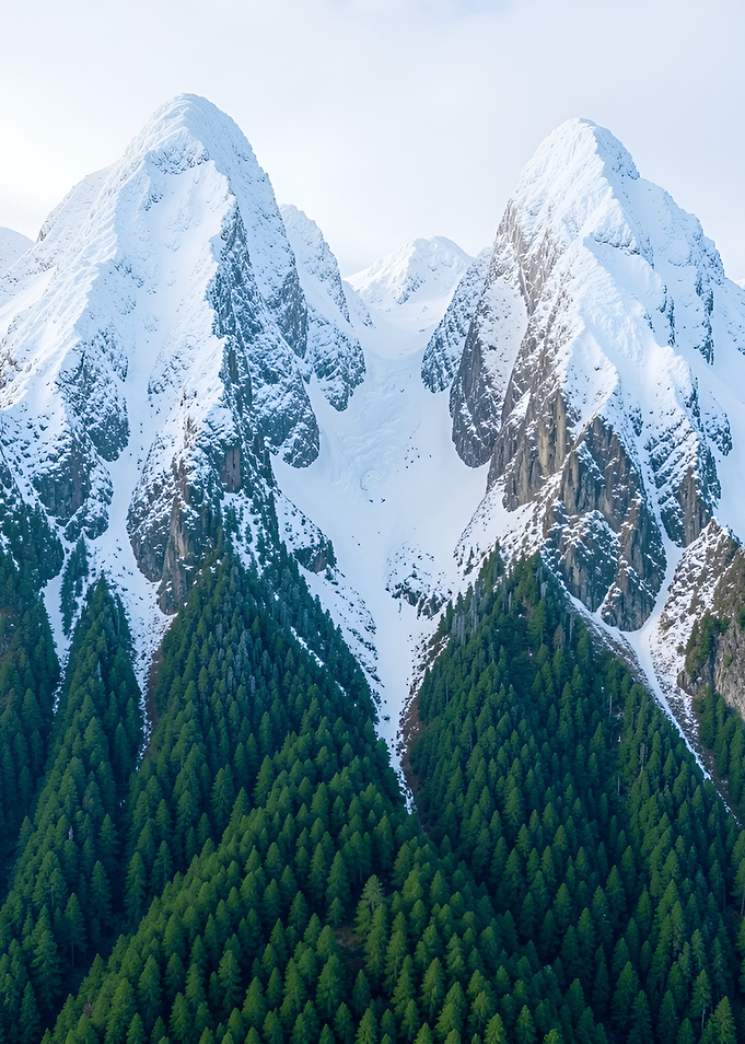 Snow-Capped Mountain Peaks and Forest