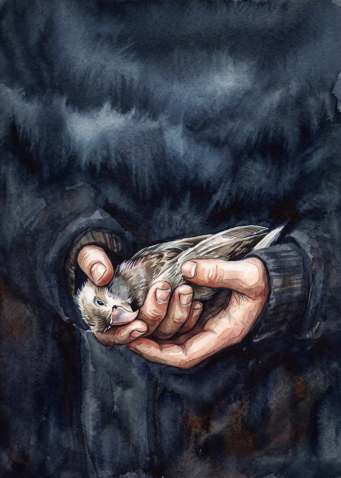 Bird Rescue Watercolor Dark Art