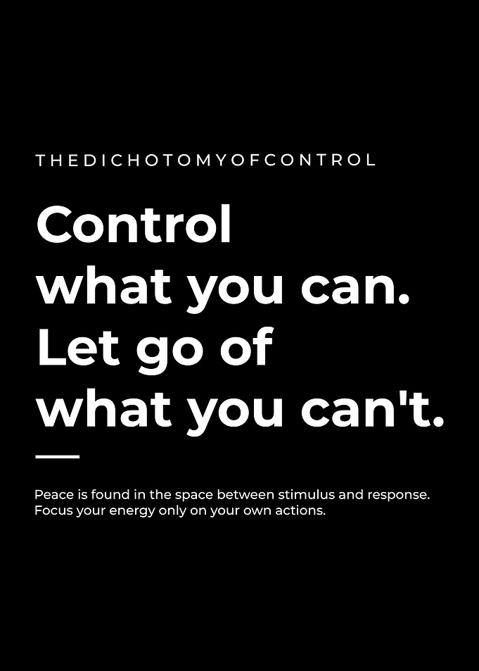 Dichotomy of Control Inspirational Quote Poster