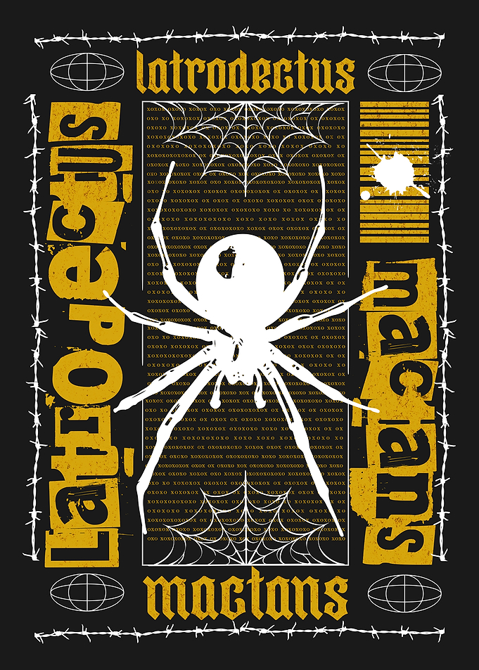 Latrodectus Mactans Spider Graphic Design